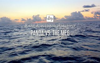 Panda vs. The Meg